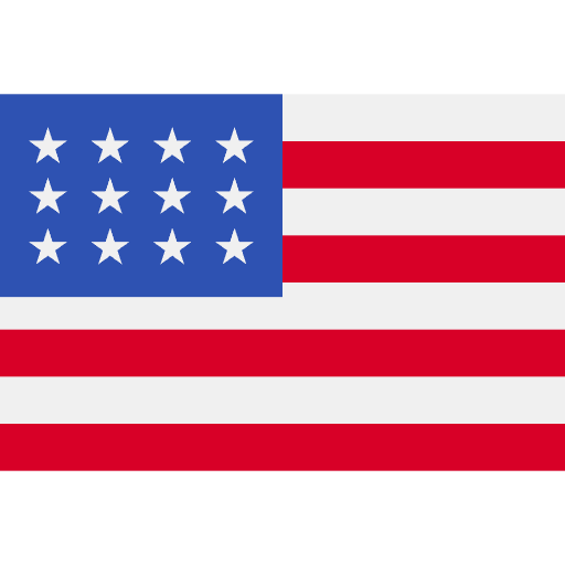 AUSTIN Flag